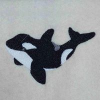 Orca